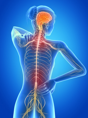 Improving Connections Between Nerves and Muscles – Multiple Sclerosis (MS)